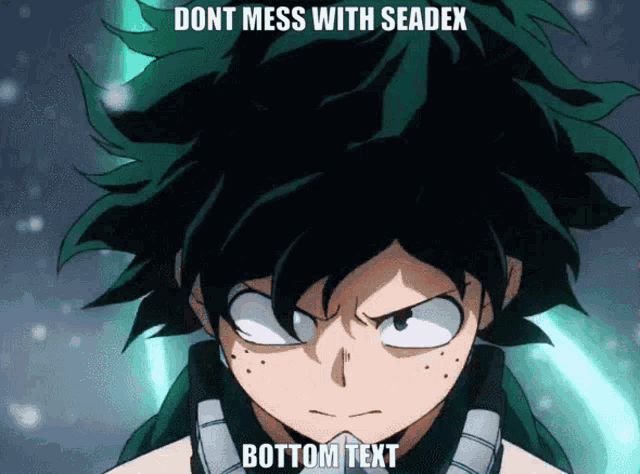 a cartoon character with the words " dont mess with seadex bottom text " on it