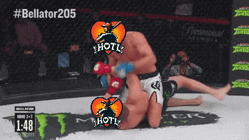 a screenshot of a boxing match with the hashtag bellator205
