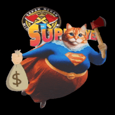 a cat in a superman costume holds a bag of money