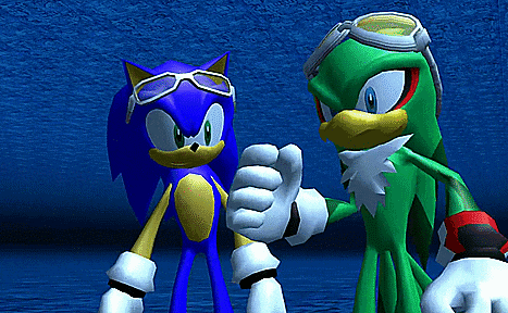 sonic the hedgehog and jet the hawk from the video game sonic the hedgehog are shaking hands