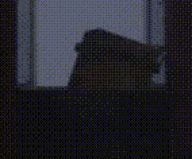 a blurred image of a person looking out a window