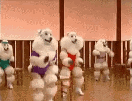 a group of poodles are dancing in a gym .