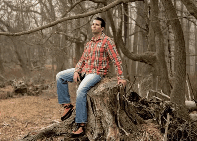 a man in a plaid shirt is sitting on a tree stump