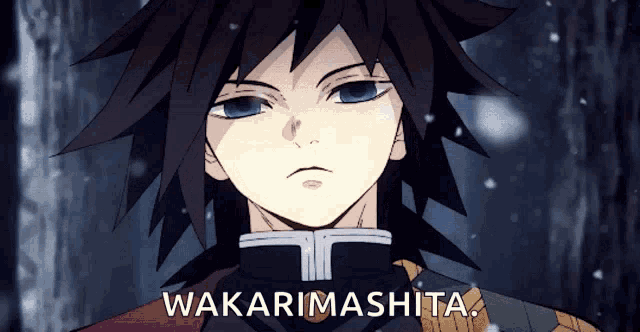 a close up of a person with the words wakarimashita written below them