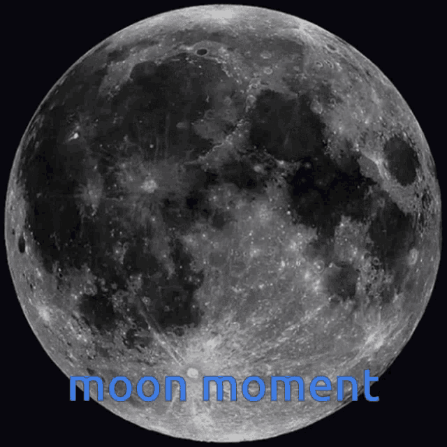 Moon Moon Moment GIF - Moon Moon Moment Moonboard GIFs