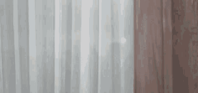 a woman is peeking out from behind a curtain in a room .