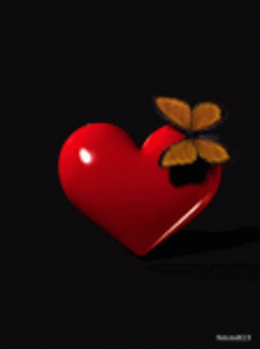 Butterfly Heart GIF - Butterfly Heart Love GIFs