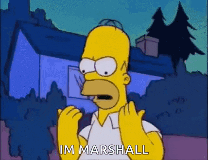 homer simpson from the simpsons is standing in front of a house with his hands up and says `` im marshall '' .