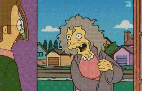 Crazy Cat Lady. GIF - The Simpsons Flanders Cat Lady GIFs