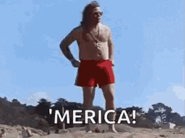 a shirtless man in a bathing suit is standing on a beach with his arms outstretched and says merica .
