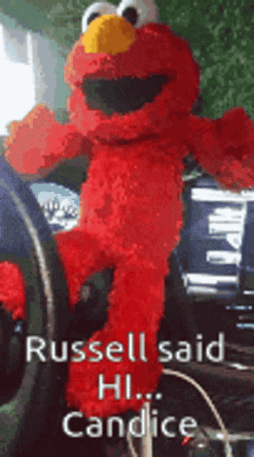 a elmo stuffed animal says russell said hi and candice