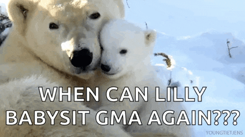 two polar bears hugging each other in the snow with the caption " when can lilly babysit gma again ? "
