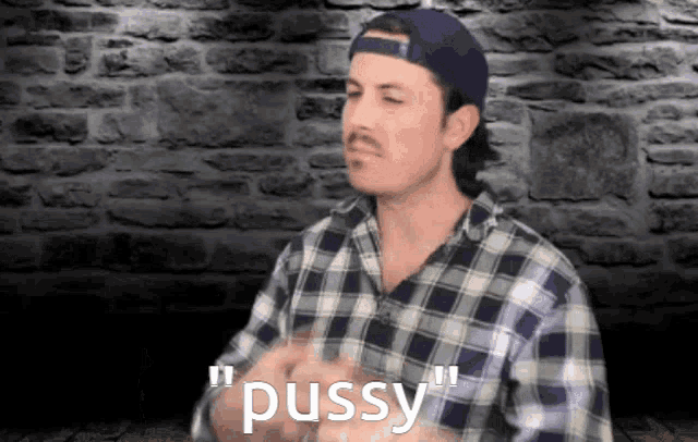 a man in a plaid shirt says " pussy " in front of a stone wall