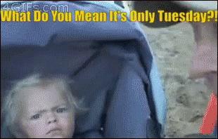 Angry Kid GIF - Angry Kid What Do You Mean Its Only Tuesday GIFs