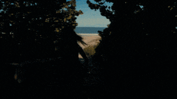 a man and a woman are walking down a dirt path towards the ocean