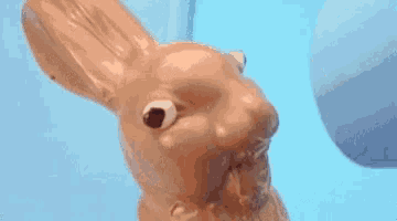 a close up of a piggy bank in the shape of a rabbit .
