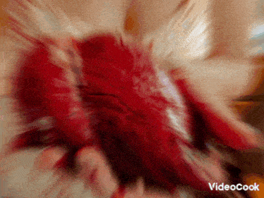 a blurry image of a person holding a red object with the words videocook visible