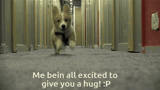 a picture of a dog with the words me bein all excited to give you a hug p