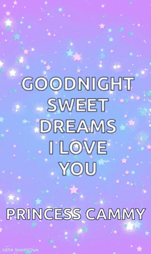 a goodnight sweet dreams i love you princess cammy greeting card