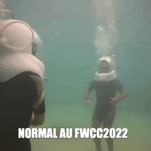 Fwcc Fwcc2022 GIF - Fwcc Fwcc2022 Normal GIFs