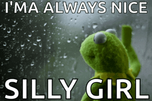 kermit the frog is looking out a window with rain drops and says " i 'm always nice silly girl "