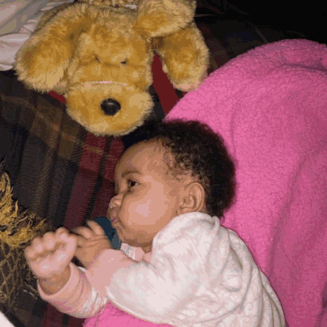 a baby laying next to a stuffed dog