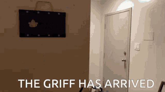 Griff Zgr GIF - Griff Zgr GIFs