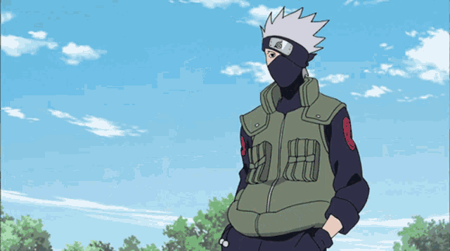 a cartoon character wearing a mask with the letter r on the chest