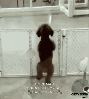 a dog is standing on its hind legs in front of a fence and a fence .