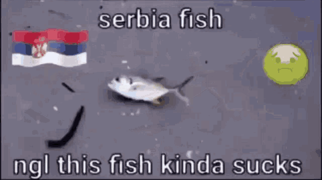 Serbia Fishing GIF - Serbia Fishing Serbia Fish GIFs