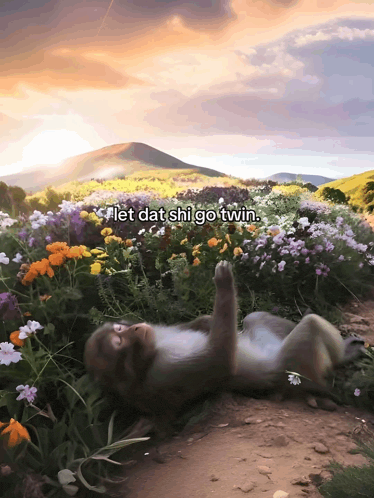 a monkey laying in a field of flowers with the words let dat shi go twin
