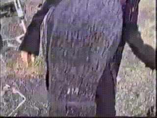 a close up of a person 's back with a bird 's tail visible