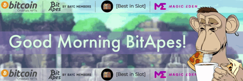 Bitape Bitapes GIF - Bitape Bitapes GIFs