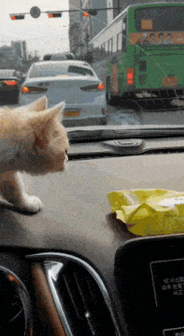 a bag of green wipes sits on a car dashboard