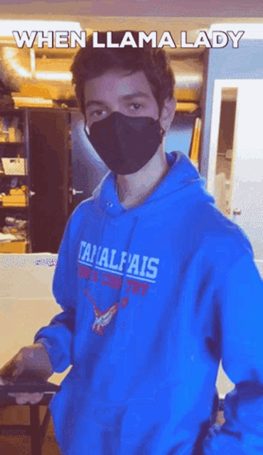 a man wearing a mask and a blue sweatshirt that says " when llama lady "