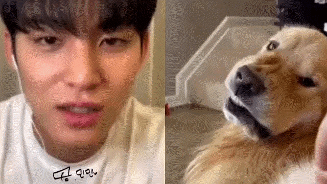 a close up of a man 's face next to a close up of a dog .