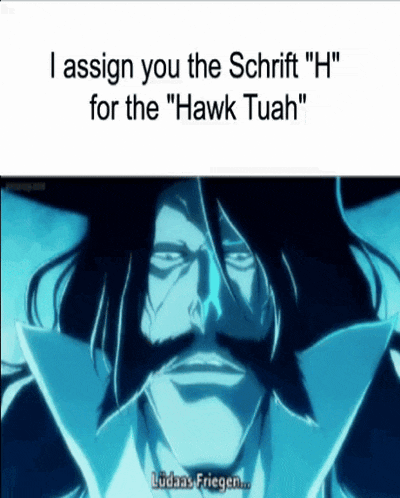 a picture of a man with a mustache and the words " i assign you the schrift " h " for the " hawk tuah "
