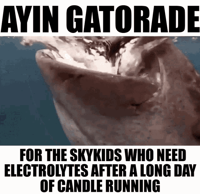 a picture of a dolphin with a caption that says ayin gatorade