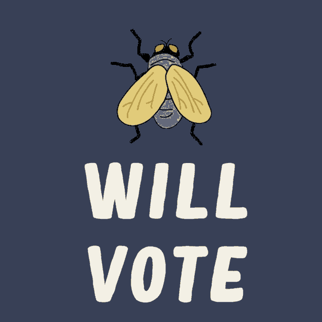 a fly with the words " will vote " below it