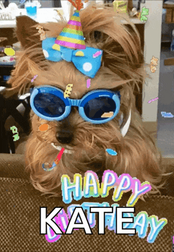 a dog wearing sunglasses and a party hat says " happy katey "