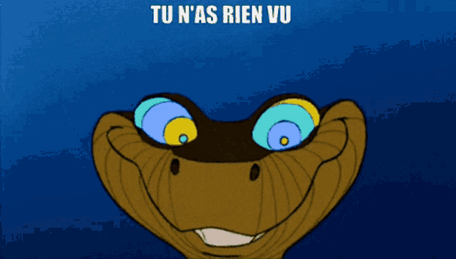 a cartoon of a snake with the words tu n'as rien vu above it