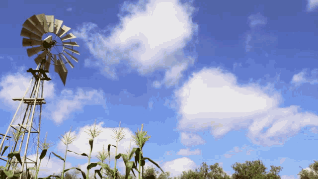 Windmill Clouds GIF - Windmill Clouds Corn GIFs