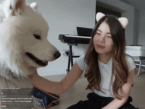 a woman petting a white dog with a keyboard in the background that says i think the dog just said he wants a fan stream more