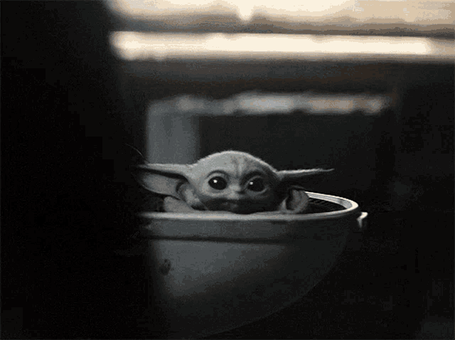 a baby yoda is sitting in a bowl and looking out the window .