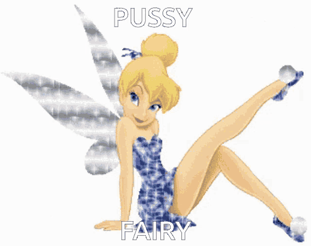 a cartoon of tinkerbell with the words pussy fairy written above her