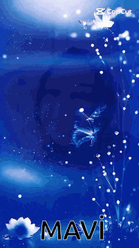 a blue background with a butterfly and the name mavi on it