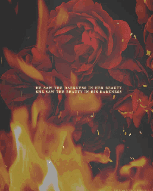 a picture of red roses with a quote that says " he saw the darkness in her beauty she saw the beauty in his darkness "