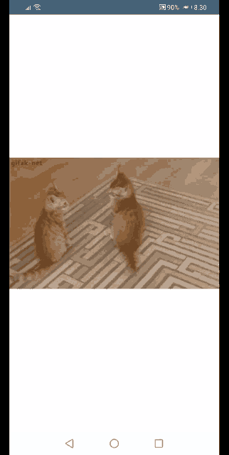 a screen shot of two cats standing on a rug