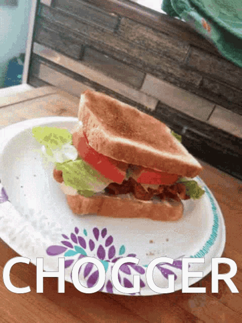 Hogar Chogger GIF - Hogar Chogger Studebaker GIFs