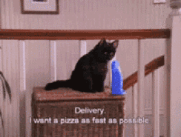 a black cat is sitting on a box that says delivery